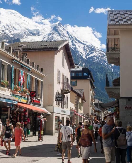 Super Appartement Cocooning Vu Mont Blanc Σαλάνς Εξωτερικό φωτογραφία