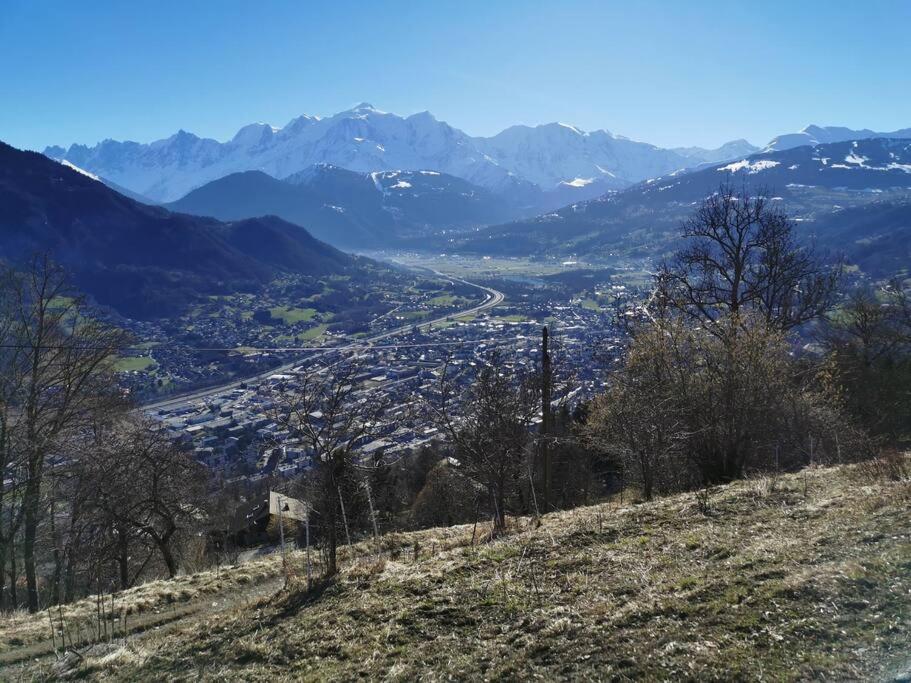 Super Appartement Cocooning Vu Mont Blanc Σαλάνς Εξωτερικό φωτογραφία