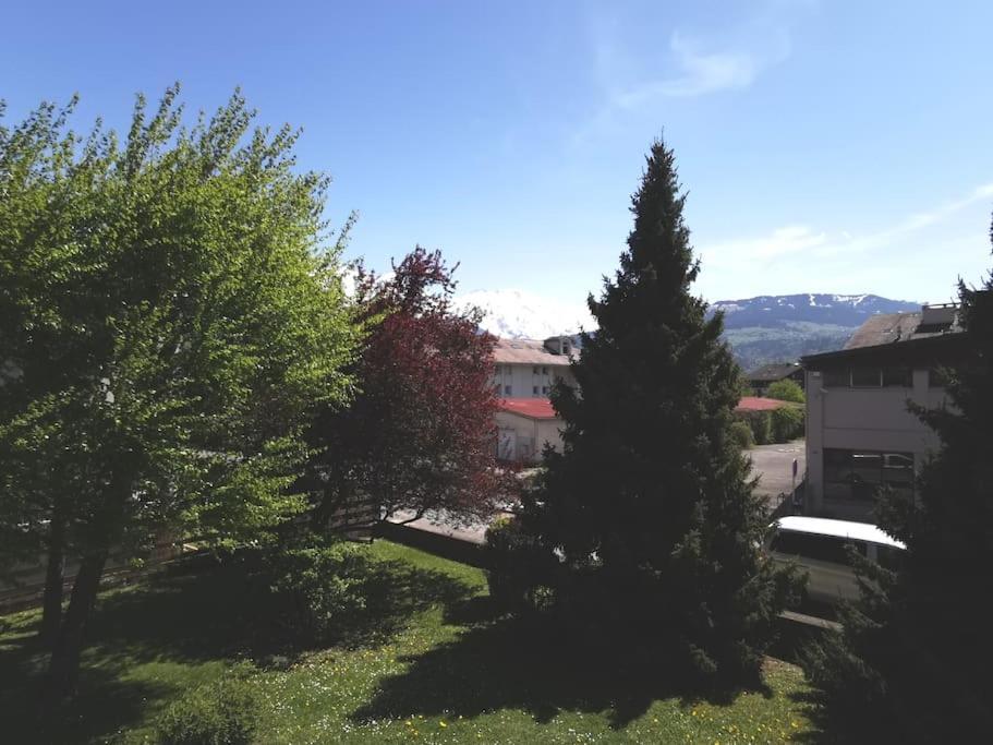 Super Appartement Cocooning Vu Mont Blanc Σαλάνς Εξωτερικό φωτογραφία