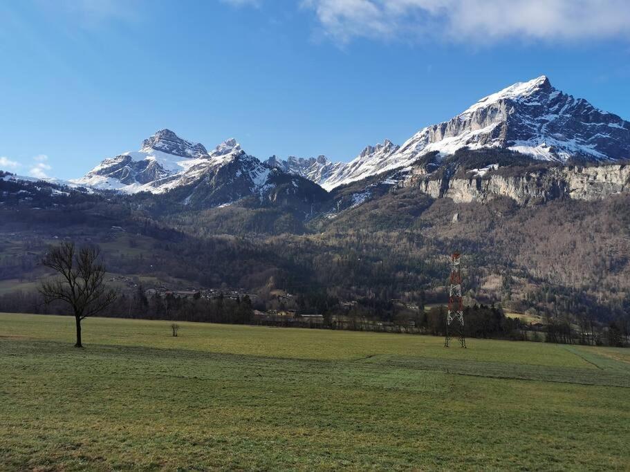 Super Appartement Cocooning Vu Mont Blanc Σαλάνς Εξωτερικό φωτογραφία