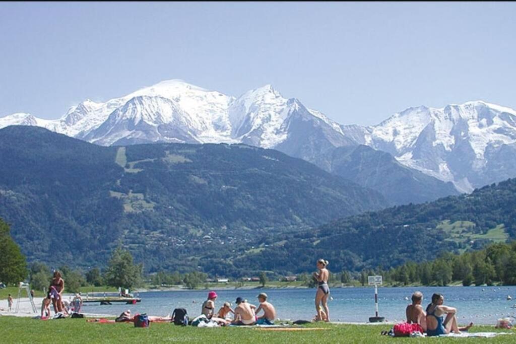 Super Appartement Cocooning Vu Mont Blanc Σαλάνς Εξωτερικό φωτογραφία