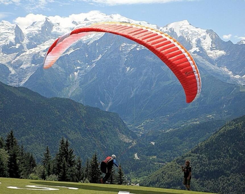Super Appartement Cocooning Vu Mont Blanc Σαλάνς Εξωτερικό φωτογραφία